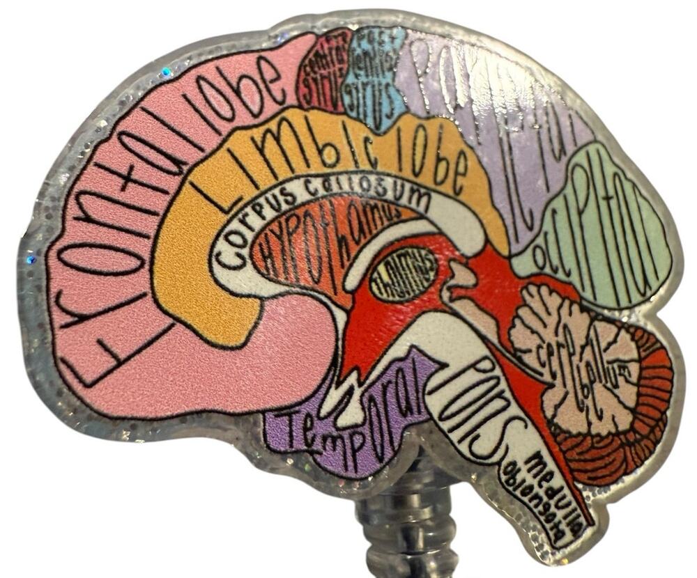 Anatomical Brain Retractable ID Badge Reel, Neurologist, Nurse, Neurology, NWT